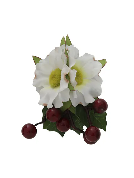 Zina Hårblomst