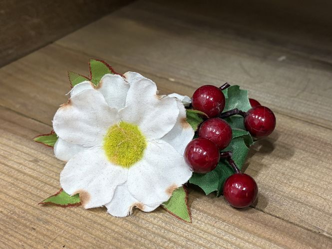 Hovedbilde Zina Hårblomst