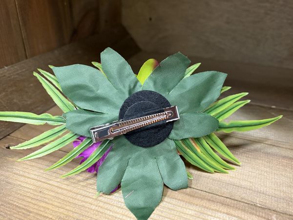 Fucsia Tropical Hårblomst